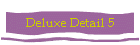 Deluxe Detail 5